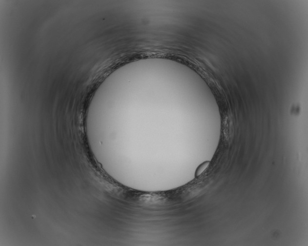 X0000090980714200708021141