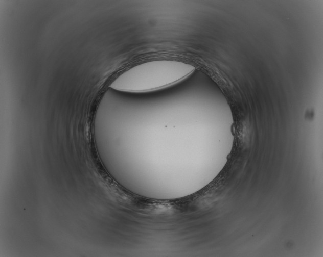 X0000090980715200708021141