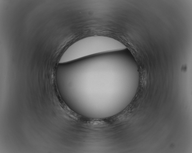 X0000090980716200708021141