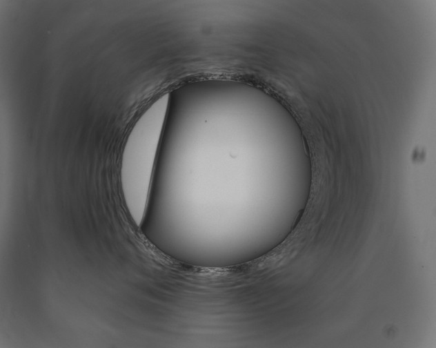 X0000090980720200708021141
