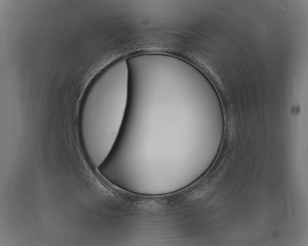 X0000090980721200708021141