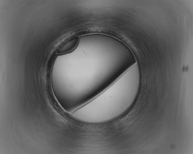 X0000090980722200708021141