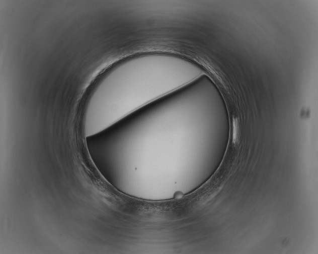 X0000090980723200708021141