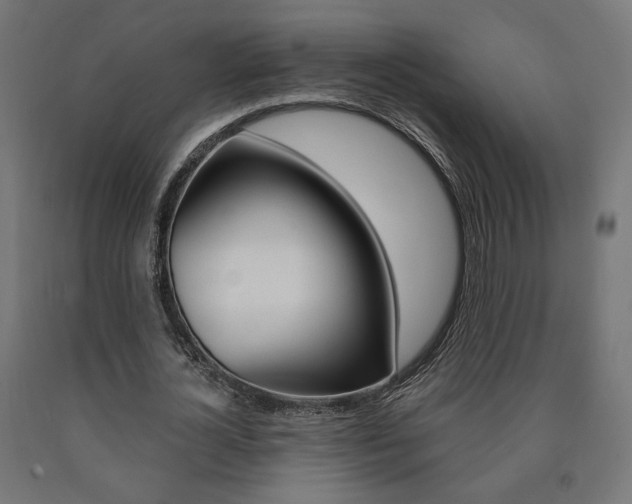 X0000090980724200708021141