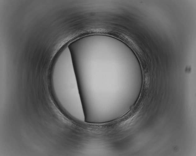 X0000090980725200708021141