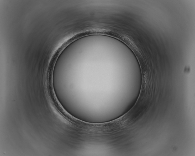 X0000090980726200708021141