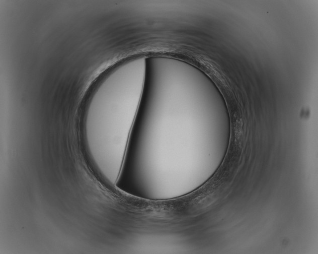 X0000090980727200708021141
