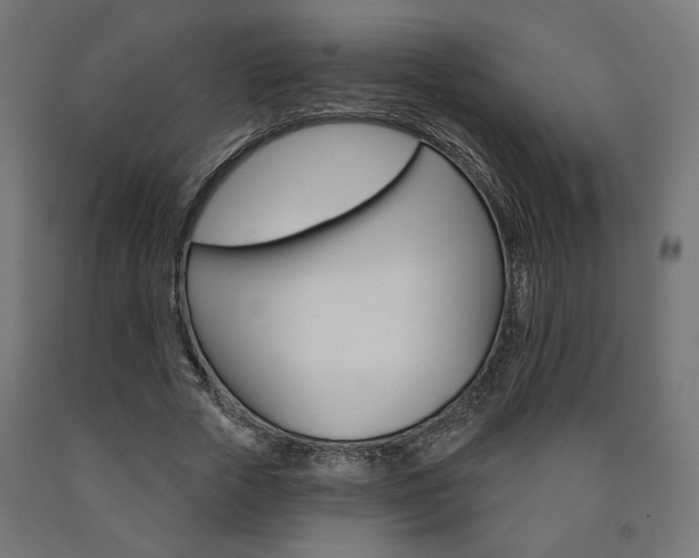 X0000090980729200708021141