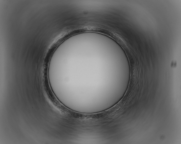 X0000090980730200708021141