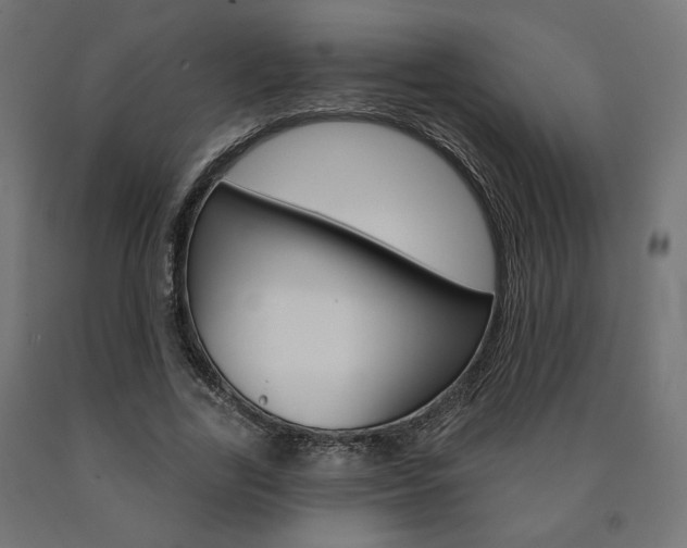 X0000090980731200708021141