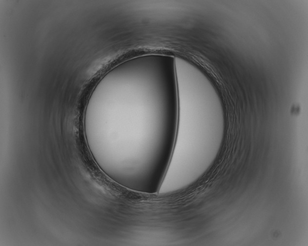 X0000090980732200708021141