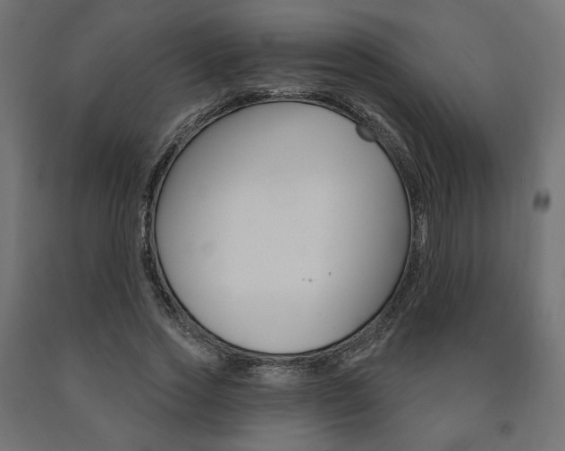 X0000090980733200708021141