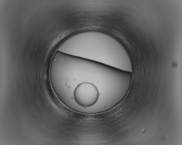X0000090980734200708021141