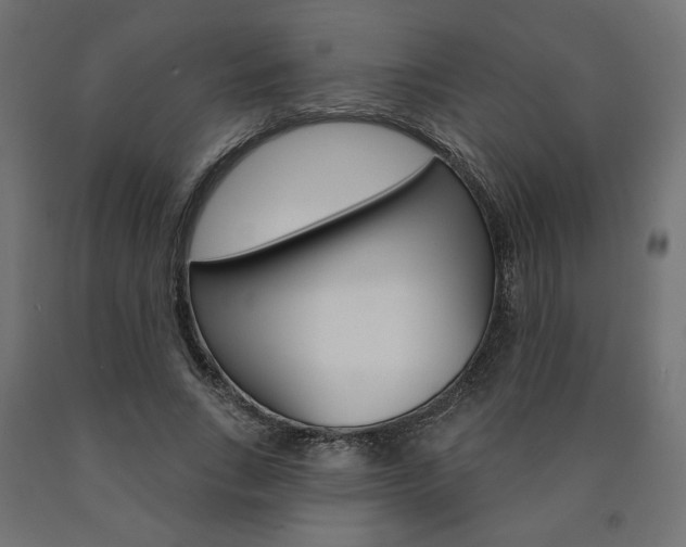 X0000090980735200708021141