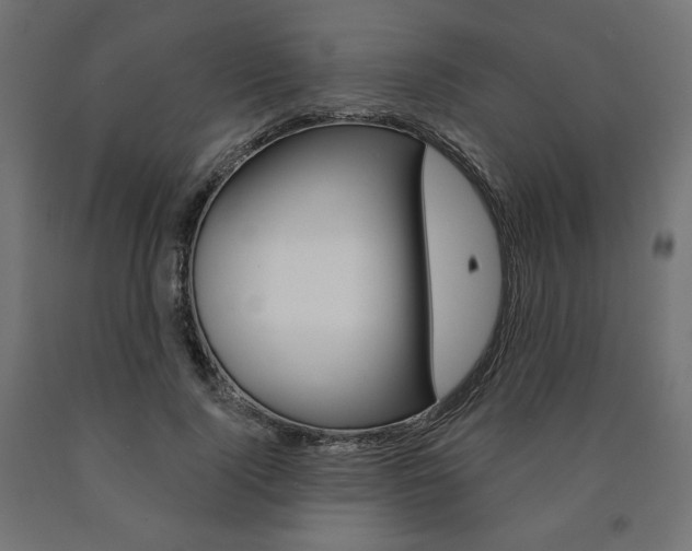 X0000090980740200708021141