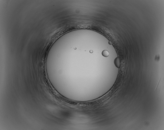X0000090980741200708021141