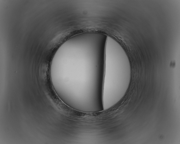 X0000090980742200708021141