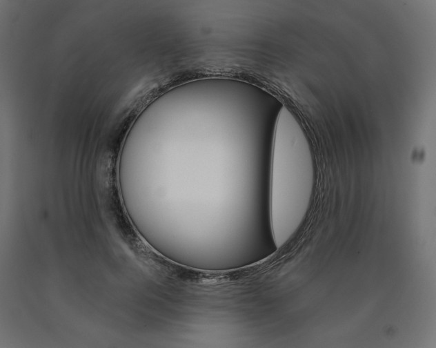 X0000090980744200708021141