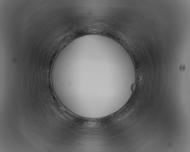 X0000090980745200708021141