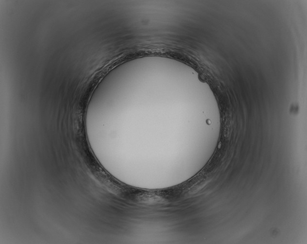 X0000090980747200708021141