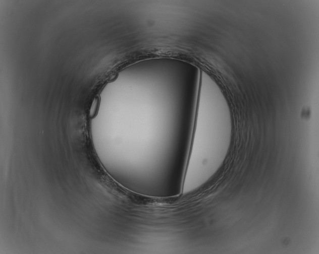 X0000090980748200708021141