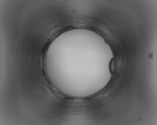 X0000090980749200708021141