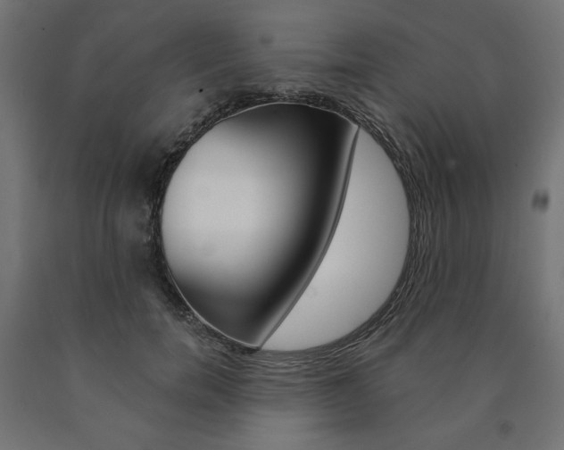 X0000090980750200708021141