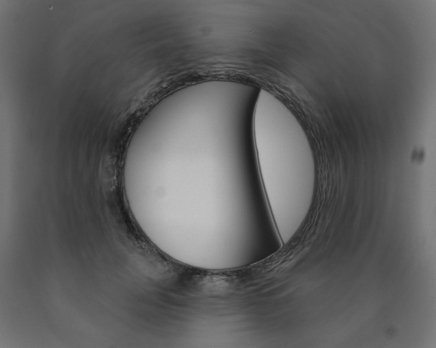 X0000090980751200708021141