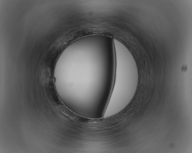 X0000090980752200708021141