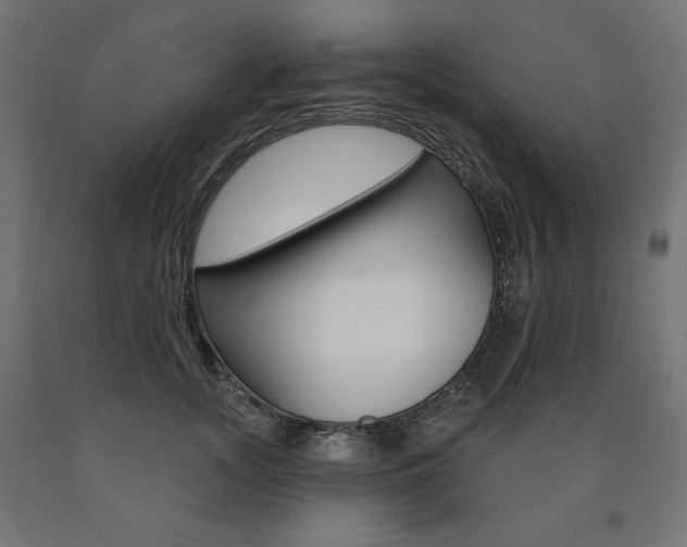 X0000090980755200708021141