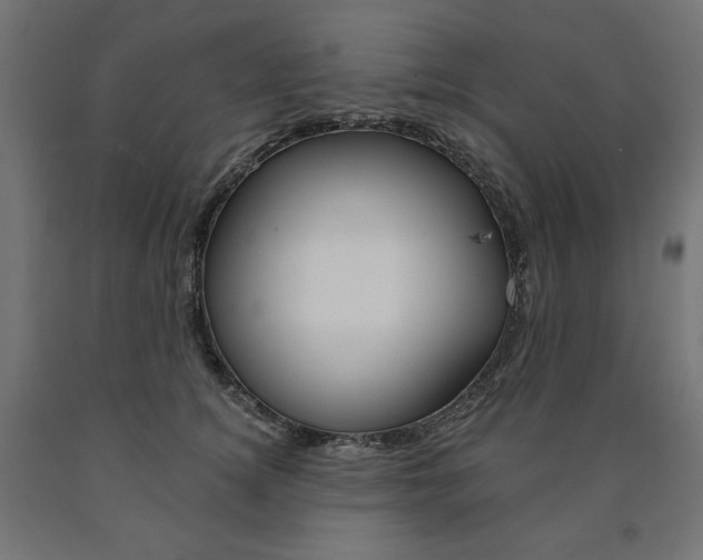 X0000090980756200708021141
