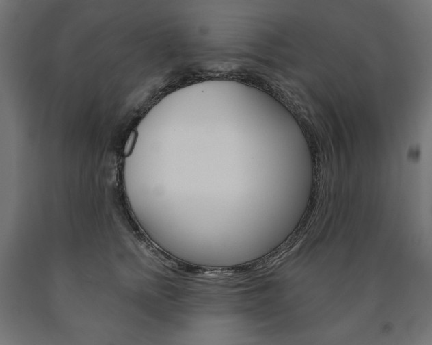 X0000090980758200708021141