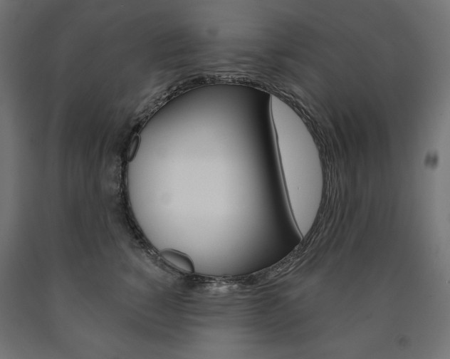 X0000090980760200708021141