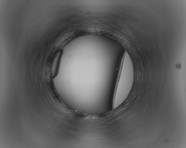 X0000090980762200708021141