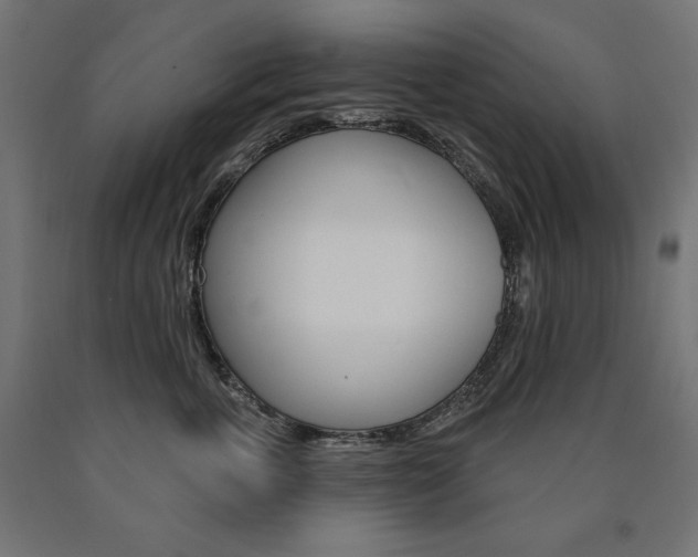X0000090980763200708021141