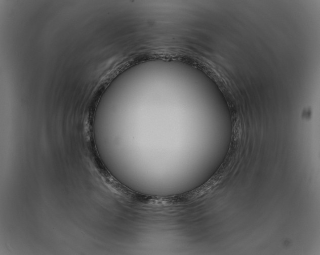 X0000090980764200708021141