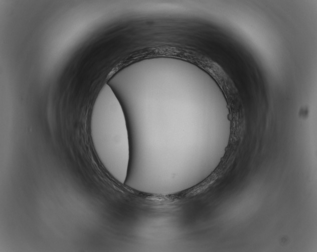 X0000090980765200708021141