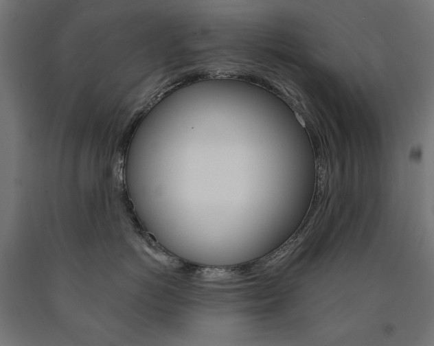 X0000090980766200708021141