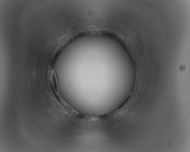 X0000090980768200708021141