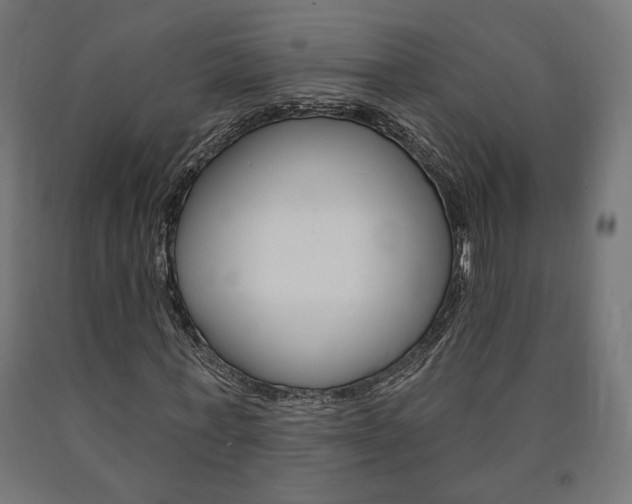 X0000090980771200708021141