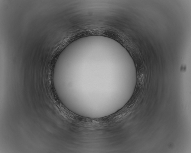 X0000090980772200708021141