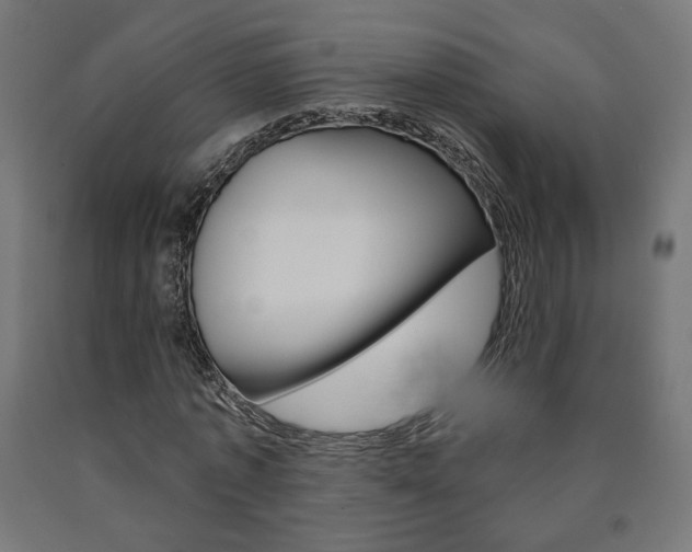 X0000090980773200708021141