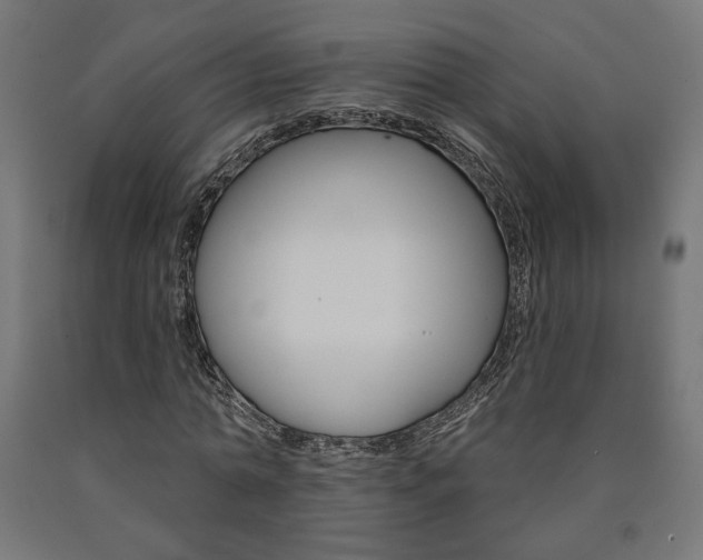 X0000090980774200708021141