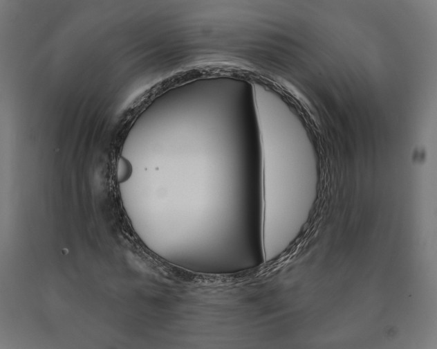 X0000090980775200708021141