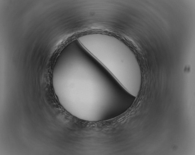 X0000090980776200708021141