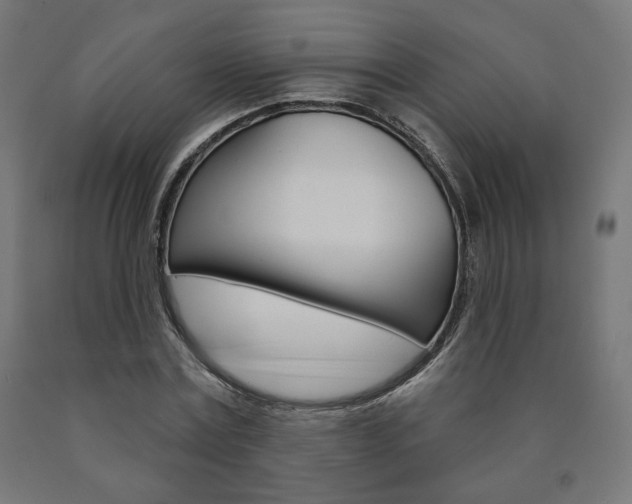X0000090980779200708021141