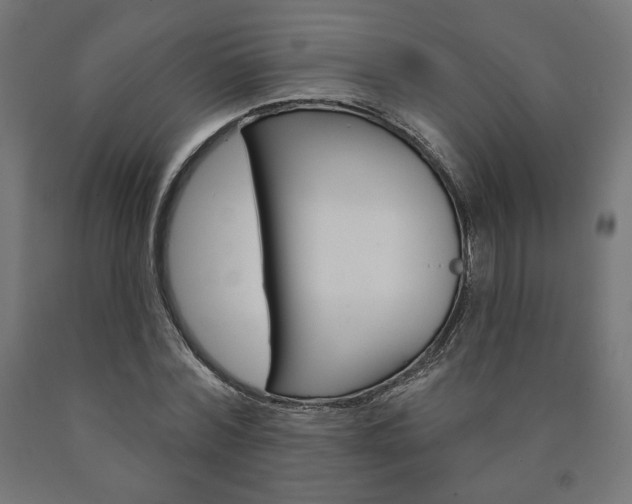 X0000090980780200708021141