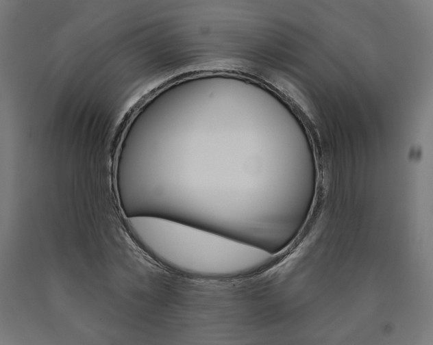 X0000090980781200708021141