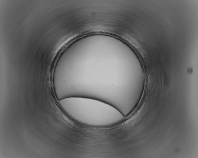 X0000090980782200708021141