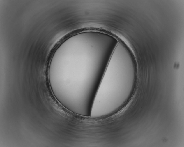 X0000090980783200708021141